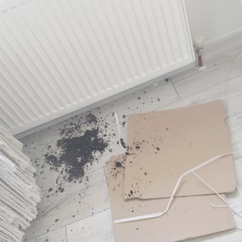 LG Servis İş Bilmeyen, Önemsemeyen Firmalara İş Verilmesi