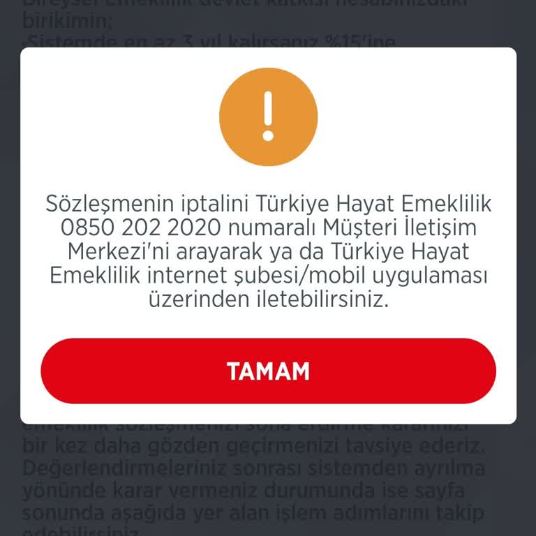 Türkiye Hayat Emeklilik Bireysel Emeklilik Ten Çıkış Yapamıyorum