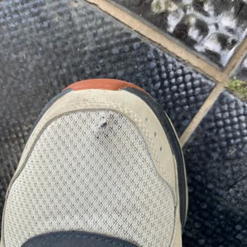 Skechers Sorunlu Ürününün Arkasında Durmuyor