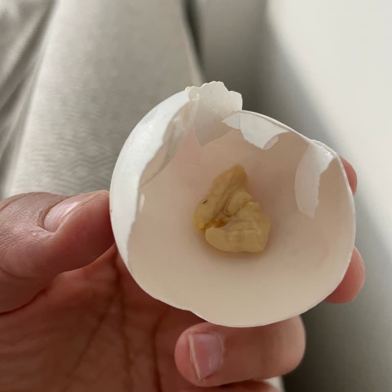 BİM'deki Yumurtadan Tuhaf Bir Cisim Çıktı
