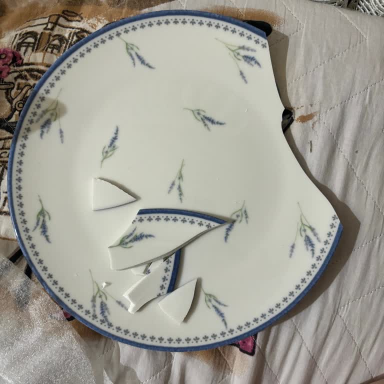 Madame Coco Yemek Takımından Bir Tane Tabak Kırık Geldi