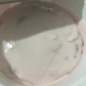 Sek Quark Kıl Çıktı