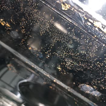 Vestel Bm4202 Bulaşık Makinesi Pas İçinde Kaldı