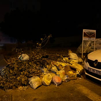 Sarıyer Belediyesi Çöp Konteyneri Kaldırıldı Tekrar Yerine Getirilmesi