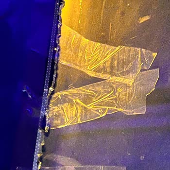 Obilet Allah'a Emanet Yolculuk