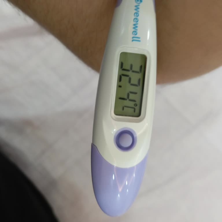 Weewell Ateş Ölçer Hatalı