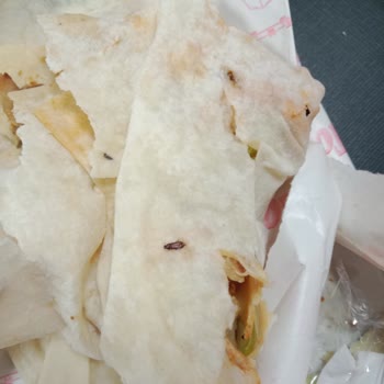 Marina Aquapark Yemek İçerisinde Ölü Böcek Çıkması