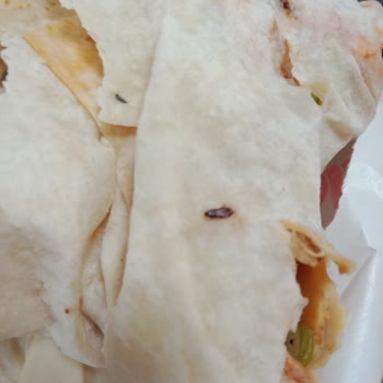 Marina Aquapark Yemek İçerisinde Ölü Böcek Çıkması