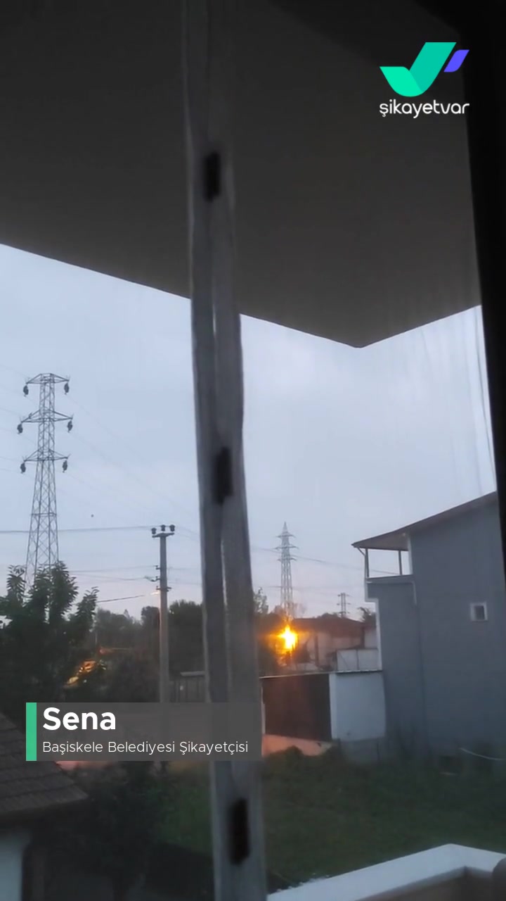 Başiskele Belediyesi Horozları Belediyeye Şikayet Ettim Ama Çözüm Yok! videonun kapak resmi