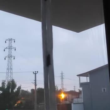 Başiskele Belediyesi Horozları Belediyeye Şikayet Ettim Ama Çözüm Yok!