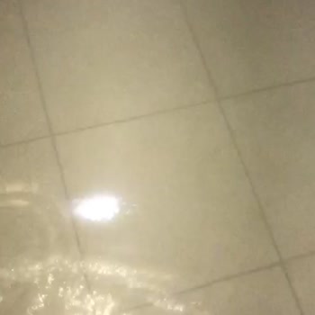 Samsun Büyükşehir Belediyesi Umursamazlığı