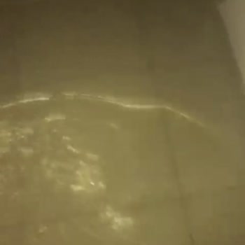Samsun Büyükşehir Belediyesi Umursamazlığı