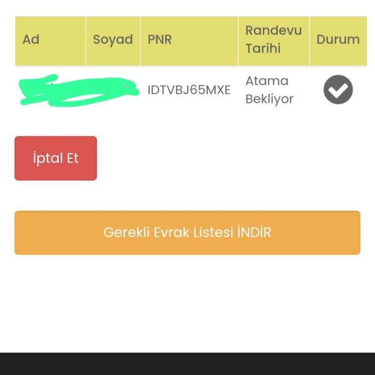 Idata Almanya Ulusal Vize 8 Ay Bekleme Süreci - Yanlış Bilgiler