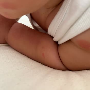 Nurse Harvey’s Bebek Sinek Koruyucu Sprey