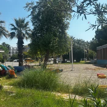 Maclura Bahçesi Memnuniyetsizliği