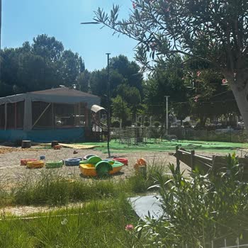 Maclura Bahçesi Memnuniyetsizliği