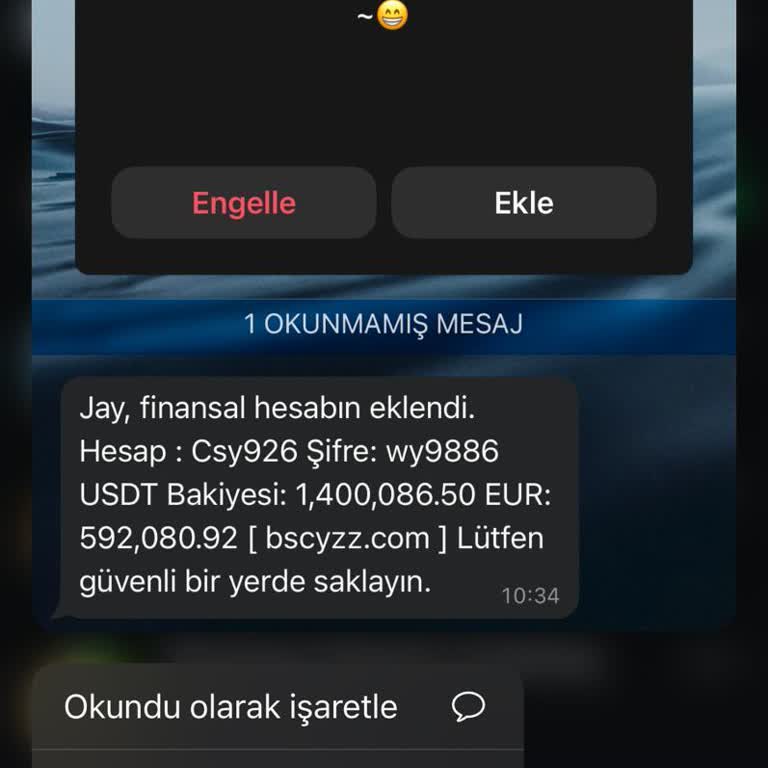 WhatsApp Security Breach - Unsolicited Financial Message Raises Concerns