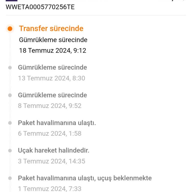 Temu Sipariş Bir Ay Oldu