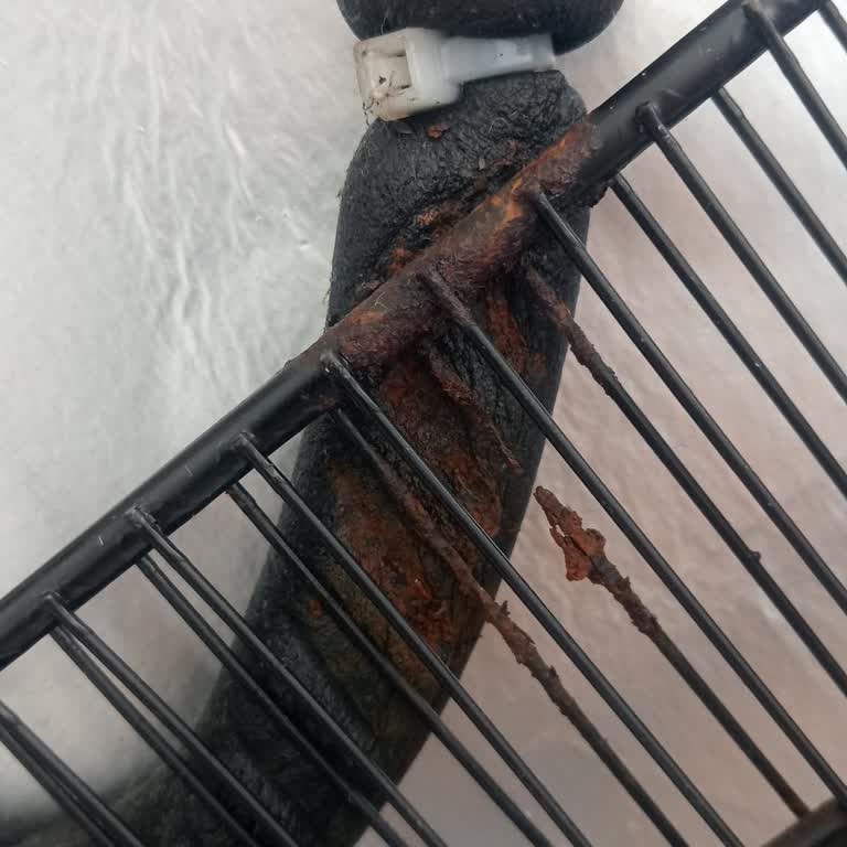 Arçelik Pişmanlık, Resmen Dalga Geçtiler...