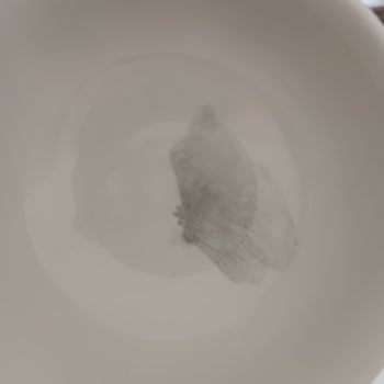 Karaca Züccaciye Karaca Tercih Pişmanlığı