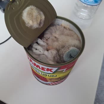 Tamek Salça Küflü Çıktı