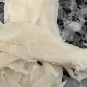 Güneşoğlu Süt Gıda Tel Peynirin İçinden Böcek Çıktı