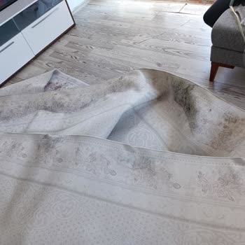 İmaj Halı Yıkama Halı Yıkama Firmasından Kötü İmaj