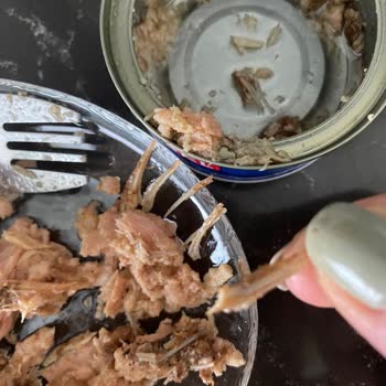 Dardanel Ton Kılçık Vakası