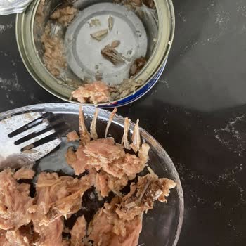 Dardanel Ton Kılçık Vakası