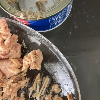 Dardanel Ton Kılçık Vakası