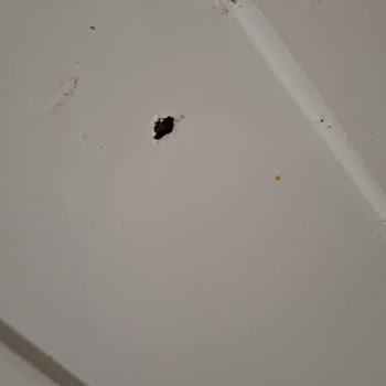 Müşteri Mağduriyeti Arçelik Bu Mağduriyeti Giderin