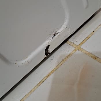 Müşteri Mağduriyeti Arçelik Bu Mağduriyeti Giderin