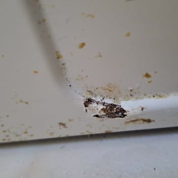 Müşteri Mağduriyeti Arçelik Bu Mağduriyeti Giderin