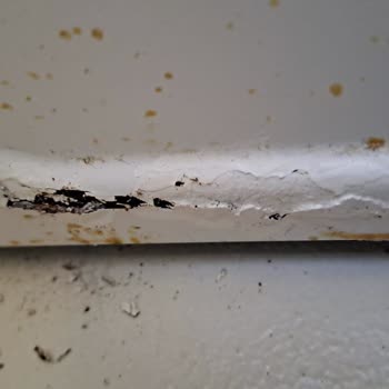 Müşteri Mağduriyeti Arçelik Bu Mağduriyeti Giderin