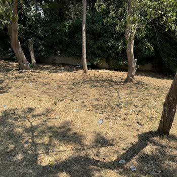 Üsküdar Belediyesine Sokak Temizliği Yaptıramıyoruz