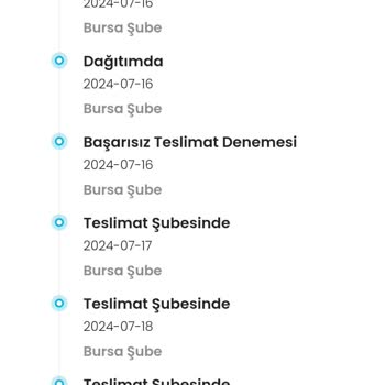 Zara Bir Kargoyu Eve Getiremediniz!