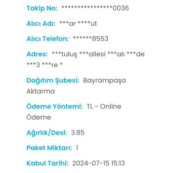 Kargoist Bir Kargoyu Eve Getiremediniz