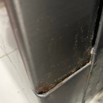 Beko Çamaşır Ve Bulaşık Makinesi Şeke Pas