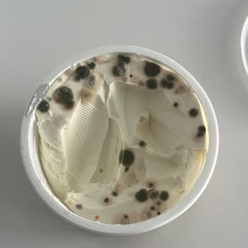 Bursa Korupark Migros Market Marka Krem Peynir Küflenme Sorunu