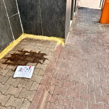 Aras Kargo Kargoyu Bırakıp Kaçtı