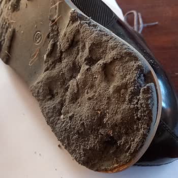 İnci Ayakkabı Markası Hakkında Yaşadığım Sorun
