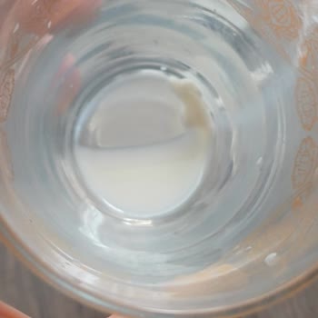 Torku Sütün Dibindeki Kalıntı