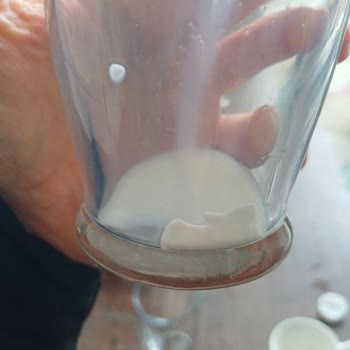 Torku Sütün Dibindeki Kalıntı