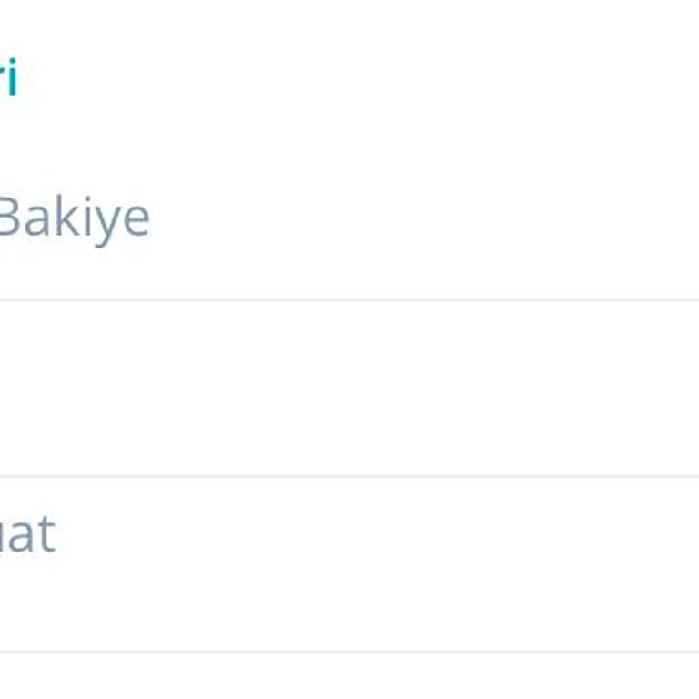 Denizbank Bakiyemi Kullanamıyorum M