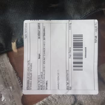 Ecehometekstil Lion Home Koltuk Örtüsü