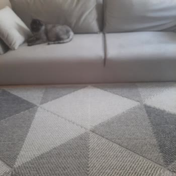 Vivense Mağdur Durumda Bıraktı