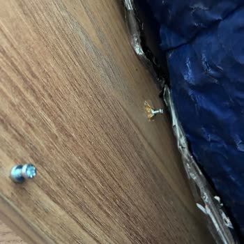 Çekmeköy Evdema Nakliyat Bile Bile Mağdur Etmesi