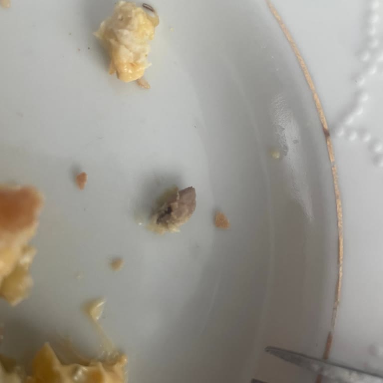 BİM Satın Aldığım Tavuk Burger'den Kemik Çıktı