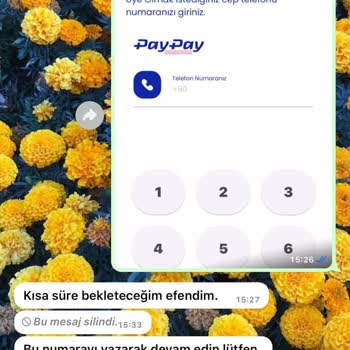 PayPay Şüpheli Burs Başvurusu Ve Kimlik Bilgilerimin Güvenliği Hakkında