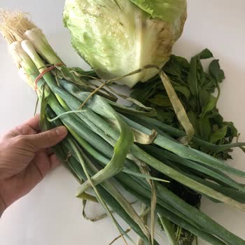 Popeyes Yenilenen Sipariş Değil, Yenilebilir Sipariş İstiyorum!